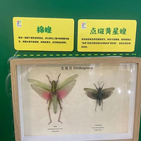 һ����λһ������Ů���²��㽭һ����������۹⾰��...