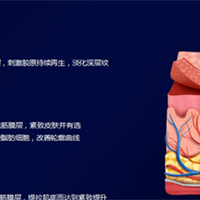 �뵺ҽ�Ƴ����ڡ��뵺��������һ����ά�ֶ��