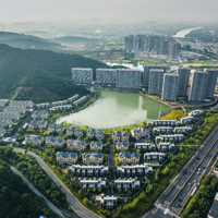 ����2��ͷ����ɽ��������ɭ�뺣��������������