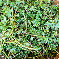 ��ʮ����һ�յ���ϱ��ϵ