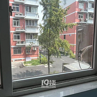 �ȾȺ��Ӱɡ�����С����ת