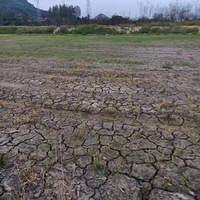 �����ѳ�����ȸɺ����������ٰ��Ȳ��ִ�ׯ���ֹ�ˮ����...