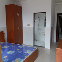 ��ɽ���ִ��δ�ס���������۸�����