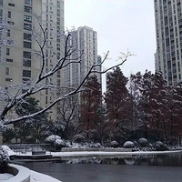 96703Ԫ/�O�����ݹ�����Ϊ���������������߼۸�