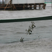 ����ܶ��˶�����ż���������ˣ��͵��������ˣ�