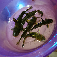 ����������