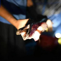 65Ԫһ���ġ����㡱�����ݻ���ˮ����������ϰ岻Ը��̸������