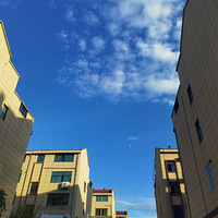 Ϊʲô���Խ��Խ����