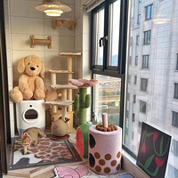 �˼ҵ���̨�������ҵĶ��������ɹ��