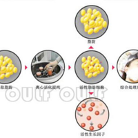 ֬����ֲ��䡢����֬����������