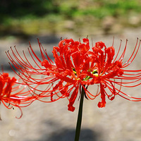 ��һ���Ӵ���ͯ�����硱��9�º���������󻨺����ˣ����������