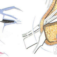 ��Ƥ�����۸�һ��������Ƥһ����ά�ֶ�á�����Ͷ�������~