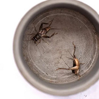 9��18������10ʱ�����ݽ������������쾯�����������