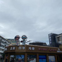 ̨����������