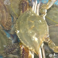 ���ֽ�������ץ���ˣ����������