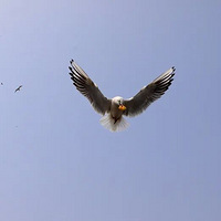 ��19���߹���Ϫ���������ĳ���ֻҪ9���Ӿ��ܵ��