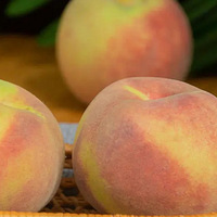 ���ڳ����ã�Ϋ��ɽҰ������44.9Ԫ4.5�ˬ�ڸ��𣬴���