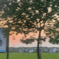 ��У�ľ�ͷ���سǣ���Ư2���985��ҵ���ص�������С�ǡ���