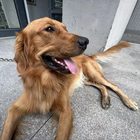 2�꣬700���죬������ò��ĸ����ϰ࣡��������˵Ĺ��±���