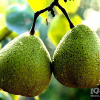 ����Թ������Ը������������ﳣ���⡰5����������Ӫ�����ϻ�