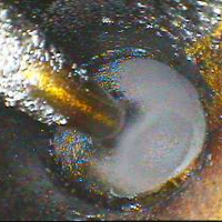 ����ƻ��Լݳ��Σ����ݹ���໨48������ӡ����͡���û�뵽��