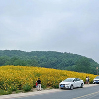 37.7�棬��ʷͬ����ߣ����£��������������������ͻ�����