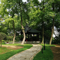 �Թ���֮Ȥ�����ͷ�����