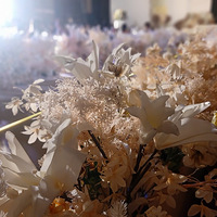 ���ڵ�����