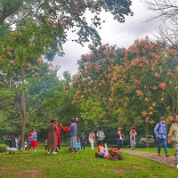 ��������һ���ٽ������꺱�����ŵ�һ�죬���ú�����ɪɪ����..