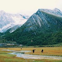 ������ڣ���Ҷ�ȥ�����˰�����