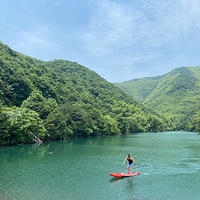 �Ҳ������Լ�������