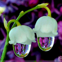 ���պ�¶���⼸���ط�ǧ��Ҫ�����������²���Ŷ��