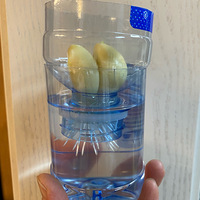 Ů�ӹ��췵�̣���ĸ�����������ز�...