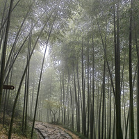 ��������ɽ�ŵ�