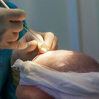 ̫���ˣ�ֲ���󻹻�������?�ܹ�ά�ֶ��?ͷ����ֲ�����ܹܶ��~