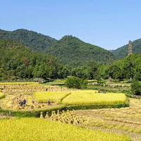 �������ѣ�Ǯ��������Щʱ��ȫ���ʩ�����������У��������