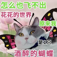 Ӱ�ۼ������������Щ��