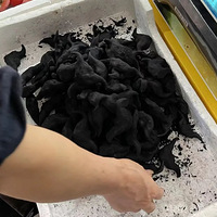 ����ĩ�������ˬ�������ºʹ������������������⡰���ɡ���