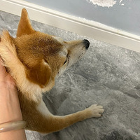 ����6000�����ܴ�нߣè������ְҵ������ʦ�����ˣ����ݹ���