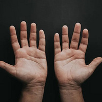 ����������ˣ��������ֲ������㡰�顱��