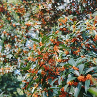 �����ݶ���������ζ�ˣ������𣬴��������