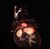 �������ݷ����������ೣ�����˶����ס���������＾����Ҫע�⣡