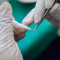 ֲ�����Դ���á�ֲ���Ժ�ͷ��������𡢹ؼ�����CREWHO����~