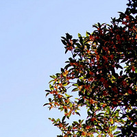 �������Ϳ������ˮ��԰�����г�����͹ޣ�