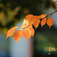 ������������������ͨ�������������