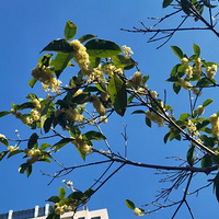 �������͹�к����������Ǻ���