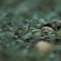 ���ּ�����ر����ų������㣬����͸���ж���