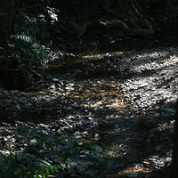 ����ȥ����¤�˼����ˣ����������Ƽ�˽���͹�·��