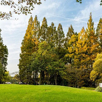 Ӣ��ӭ��λӡ����������������