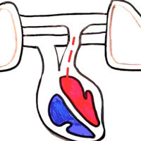 һ��Ԥ���������յ�ָ�꣺���ķ����������õ��˿�����6��